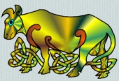 Celtic Bull